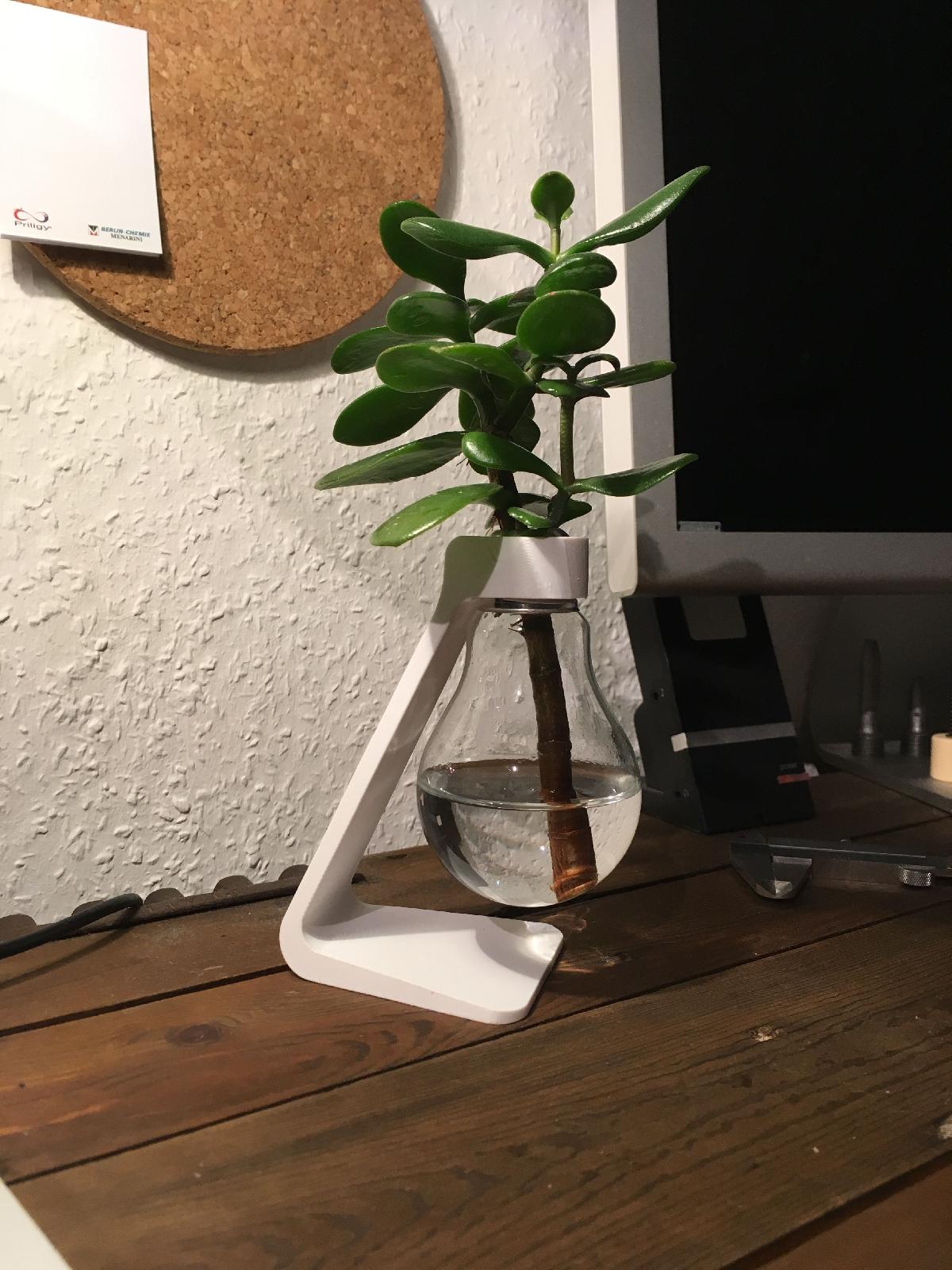 Vaso de Lampada