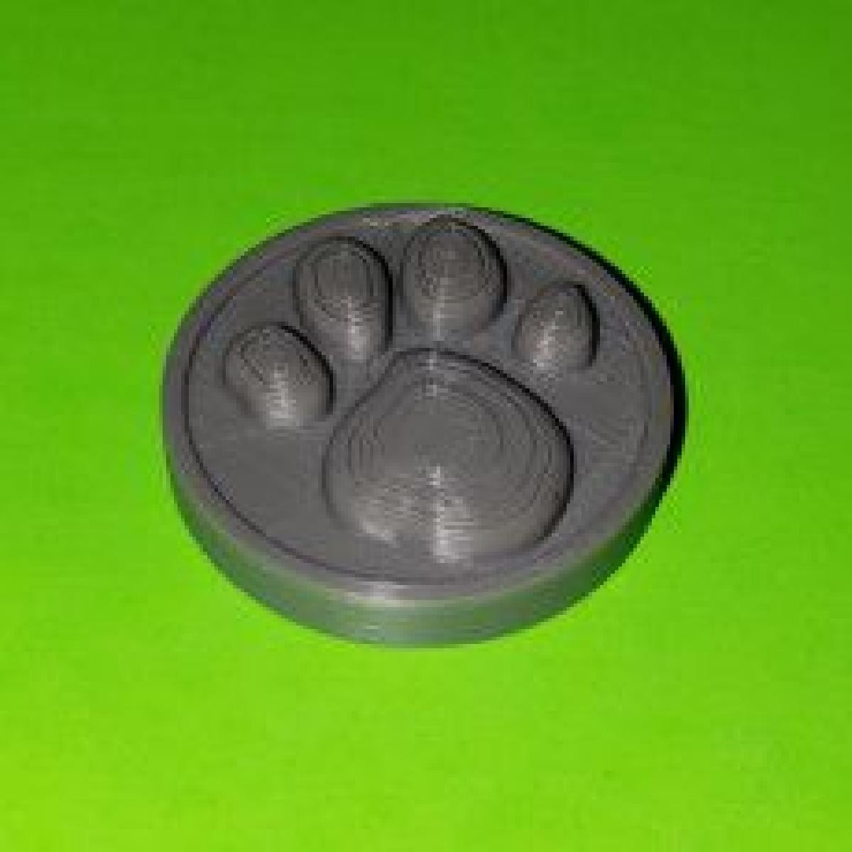 Moeda/Colar do Blues Clues