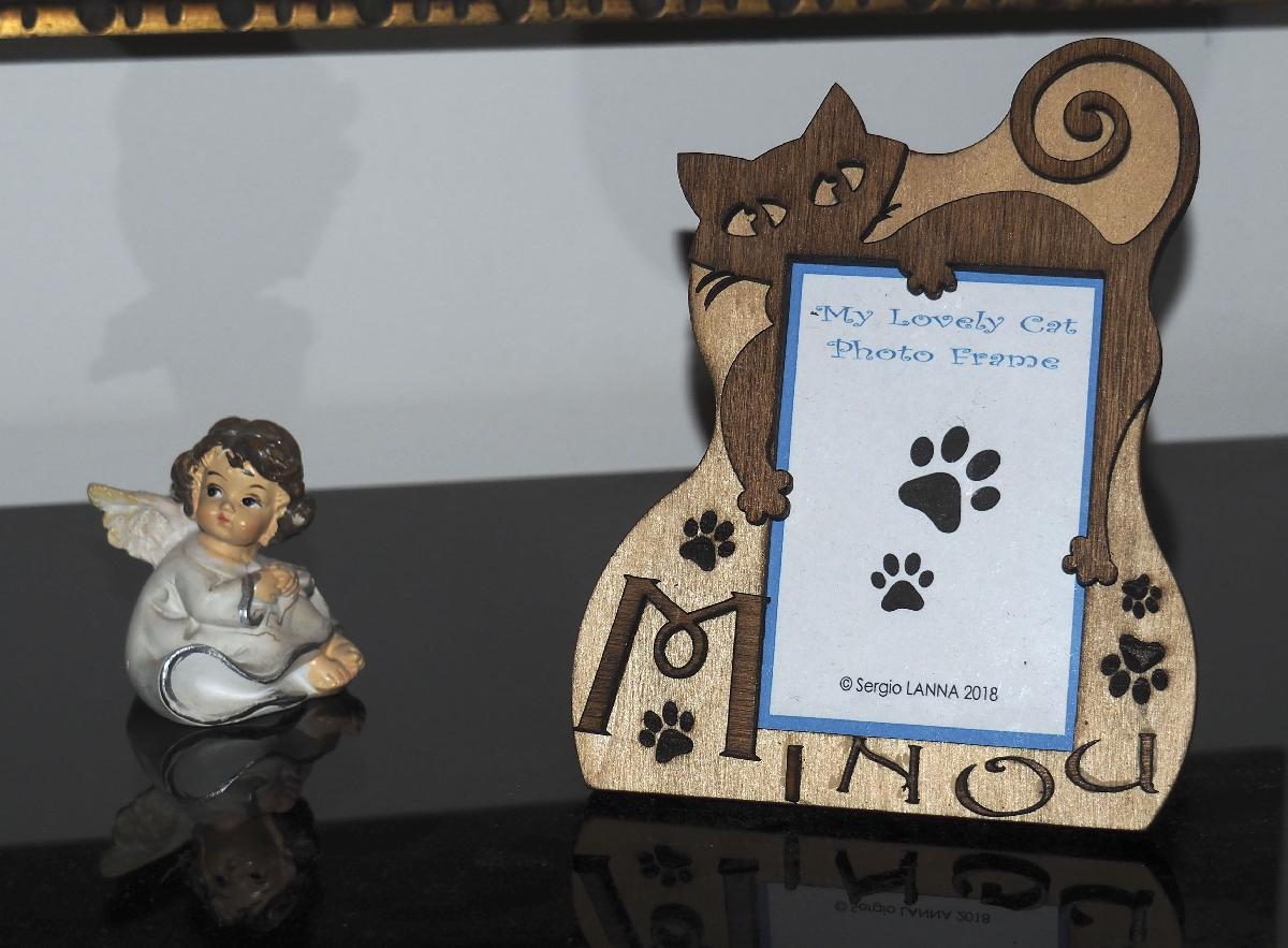 Meu lindo porta retrato de gato