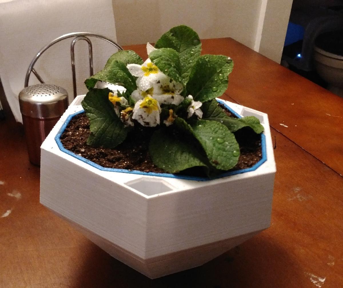 Vaso de Flor Autoirrigavel