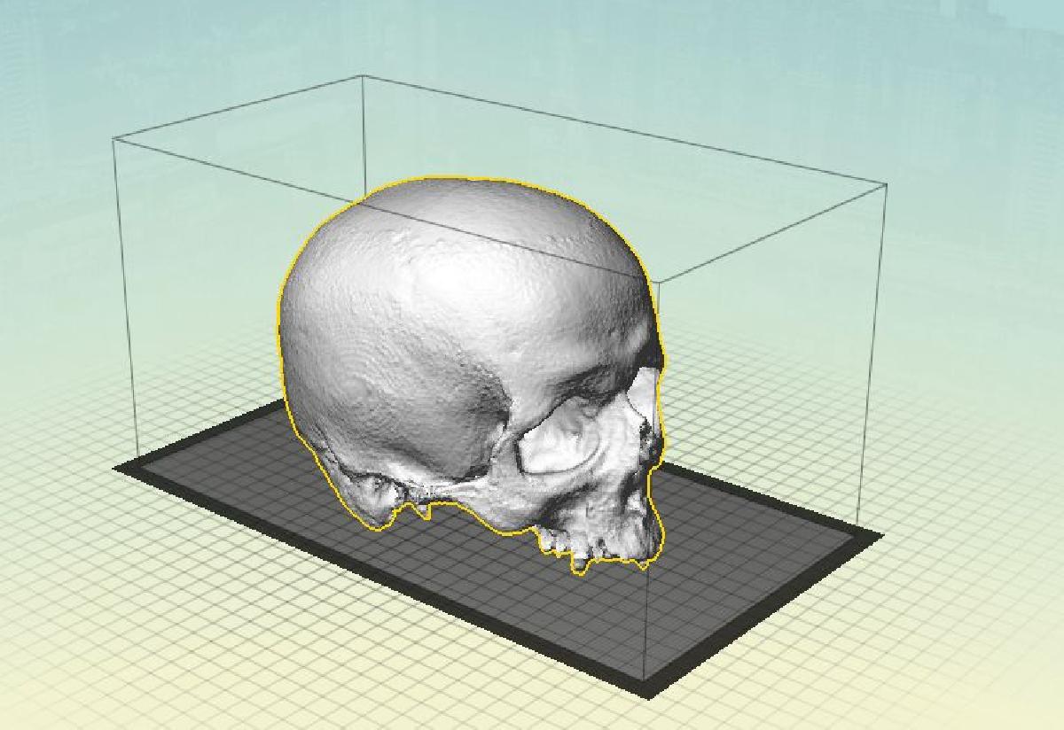 Yorick