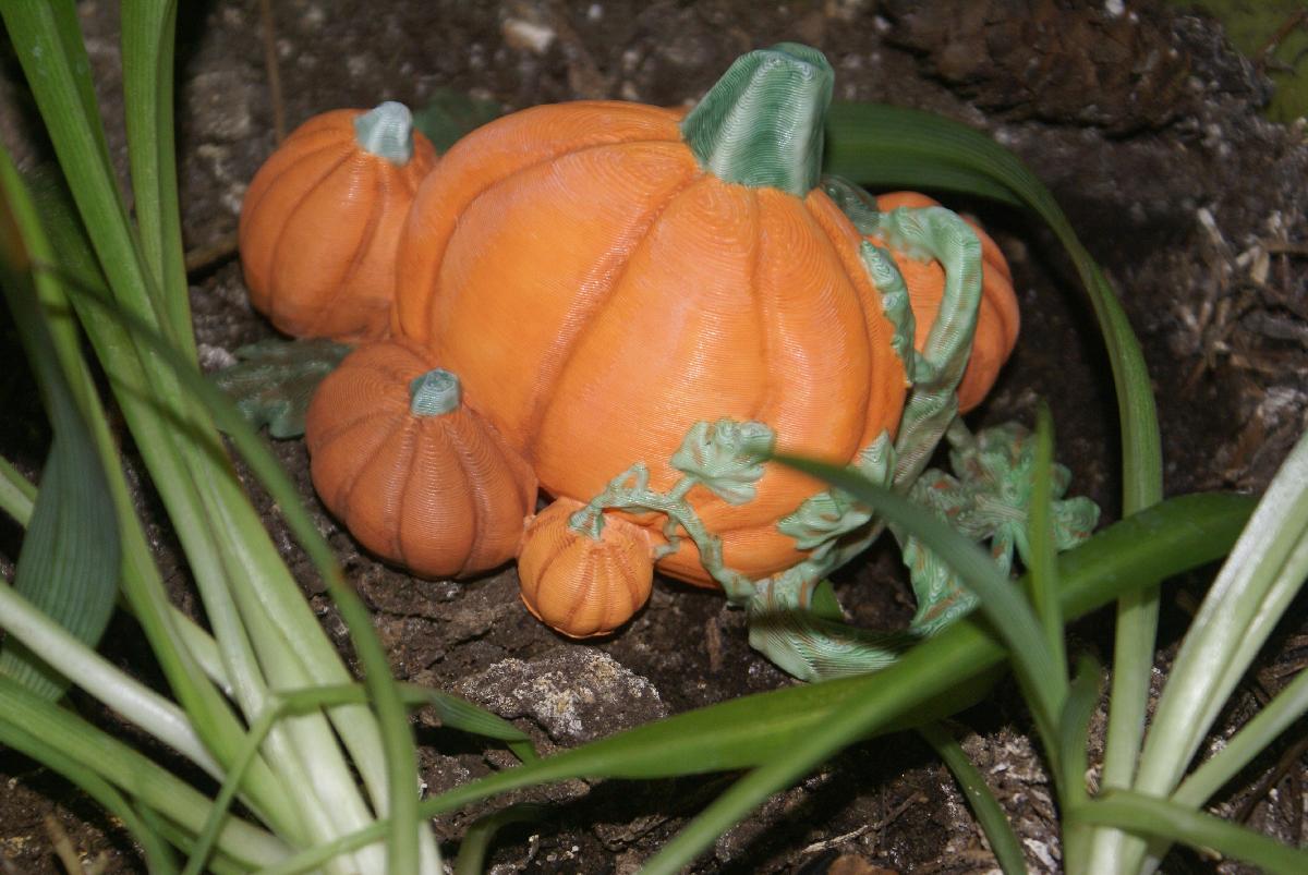 Pomar de Aboboras de Halloween