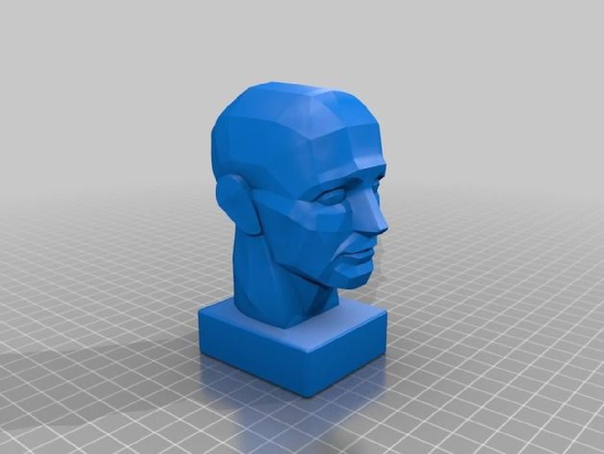 Escultura de Cabeca Planar por Oleg Toropygin