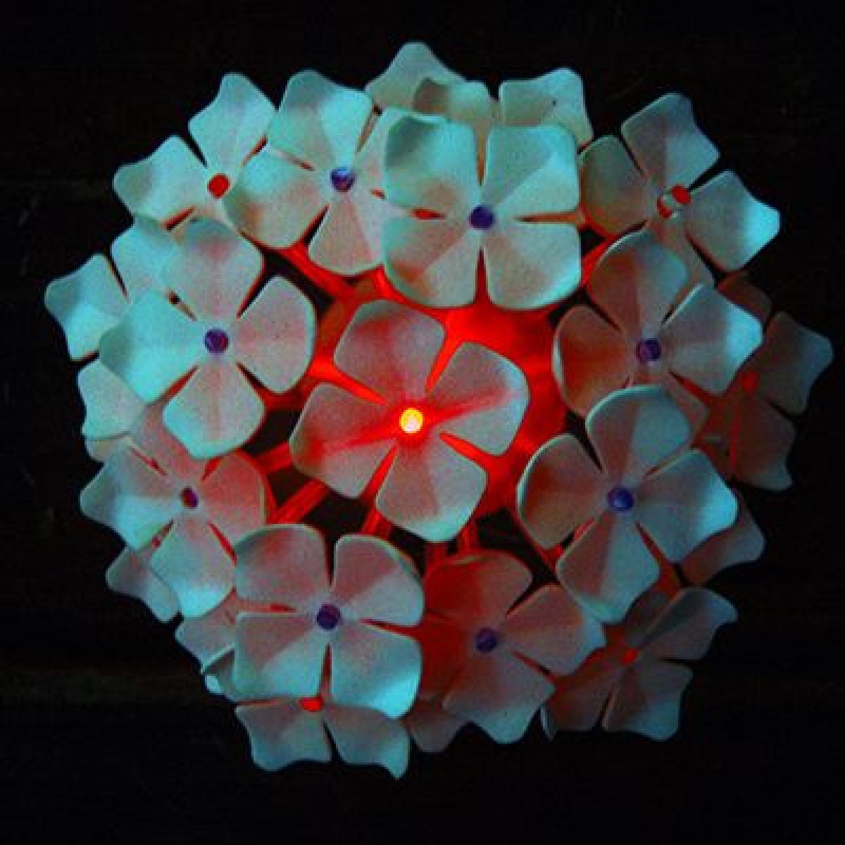 Lampada LED Portatil Hydrangea