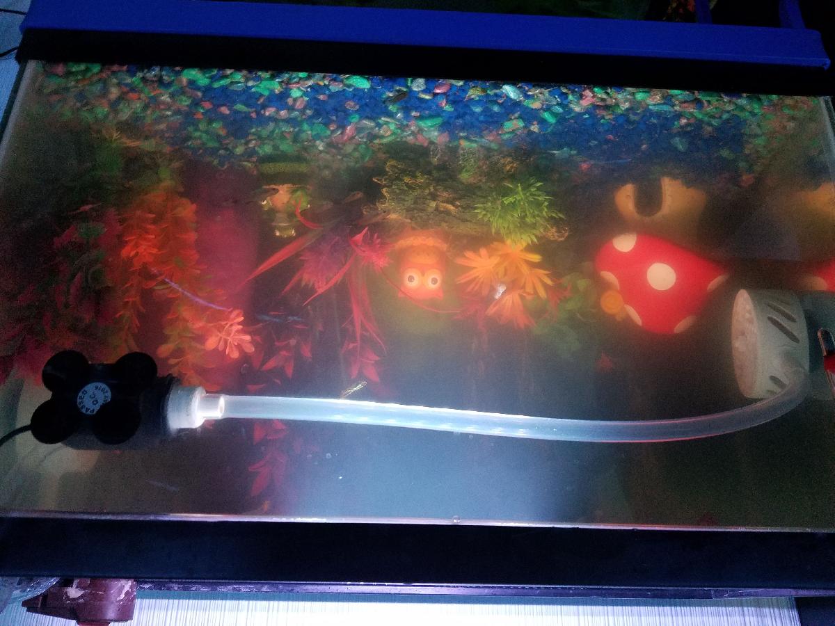 Filtro de agua alimentado por aquario e gerador de corrente