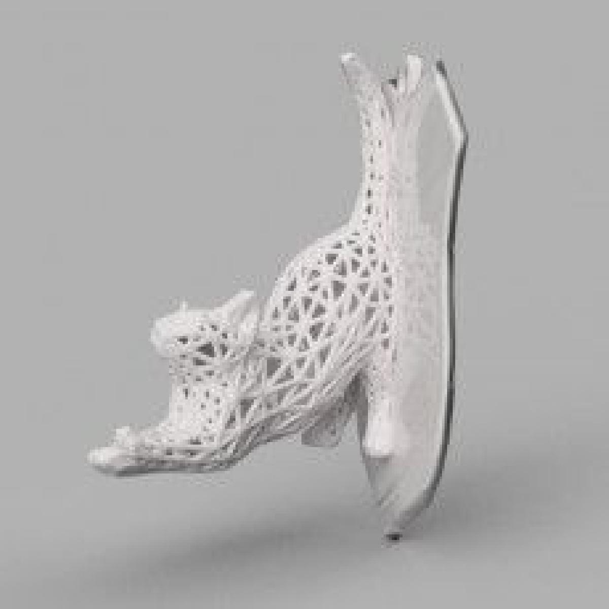 Chat voronoi