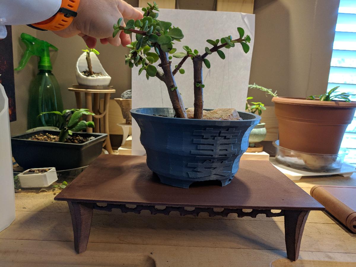 Retangulo Elegante   Mesa de Bonsai