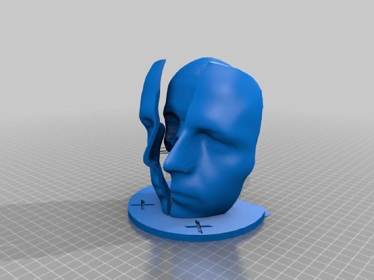 cranio dividido de john_print