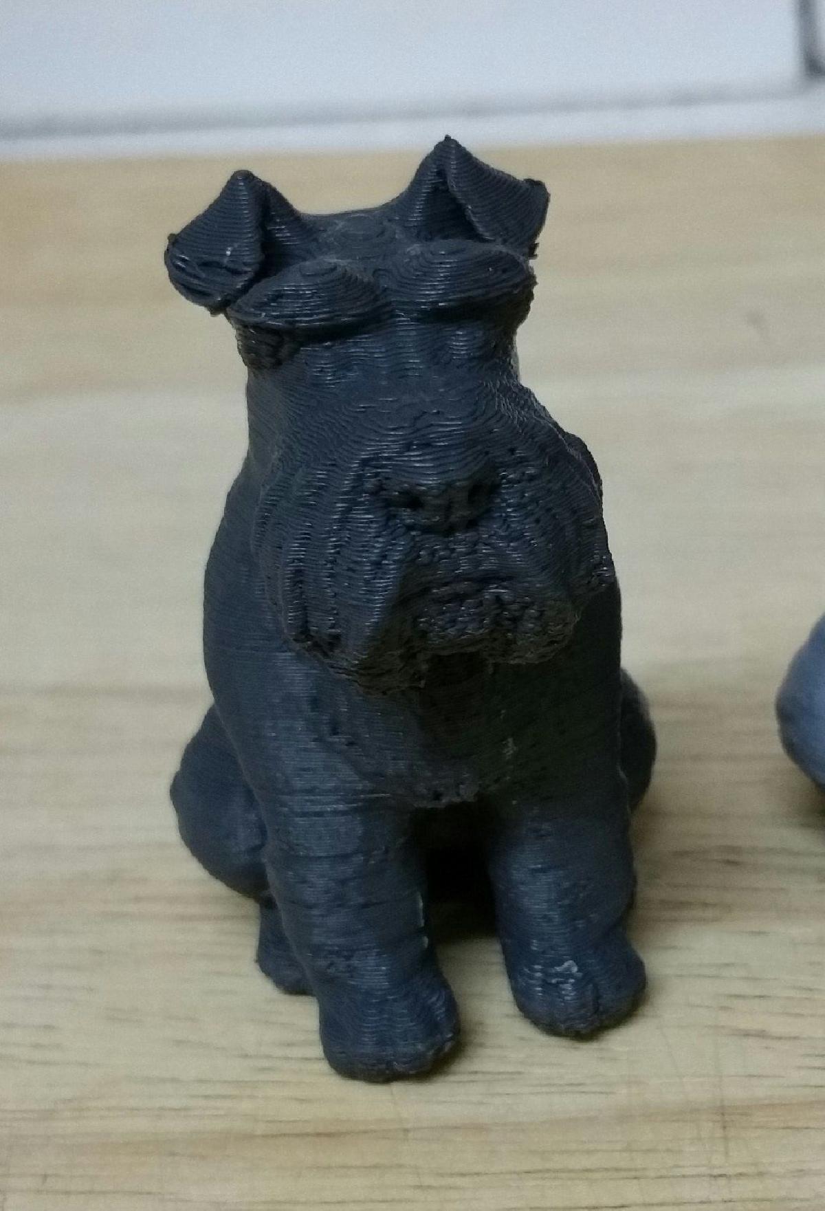 Schnauzer Miniatura