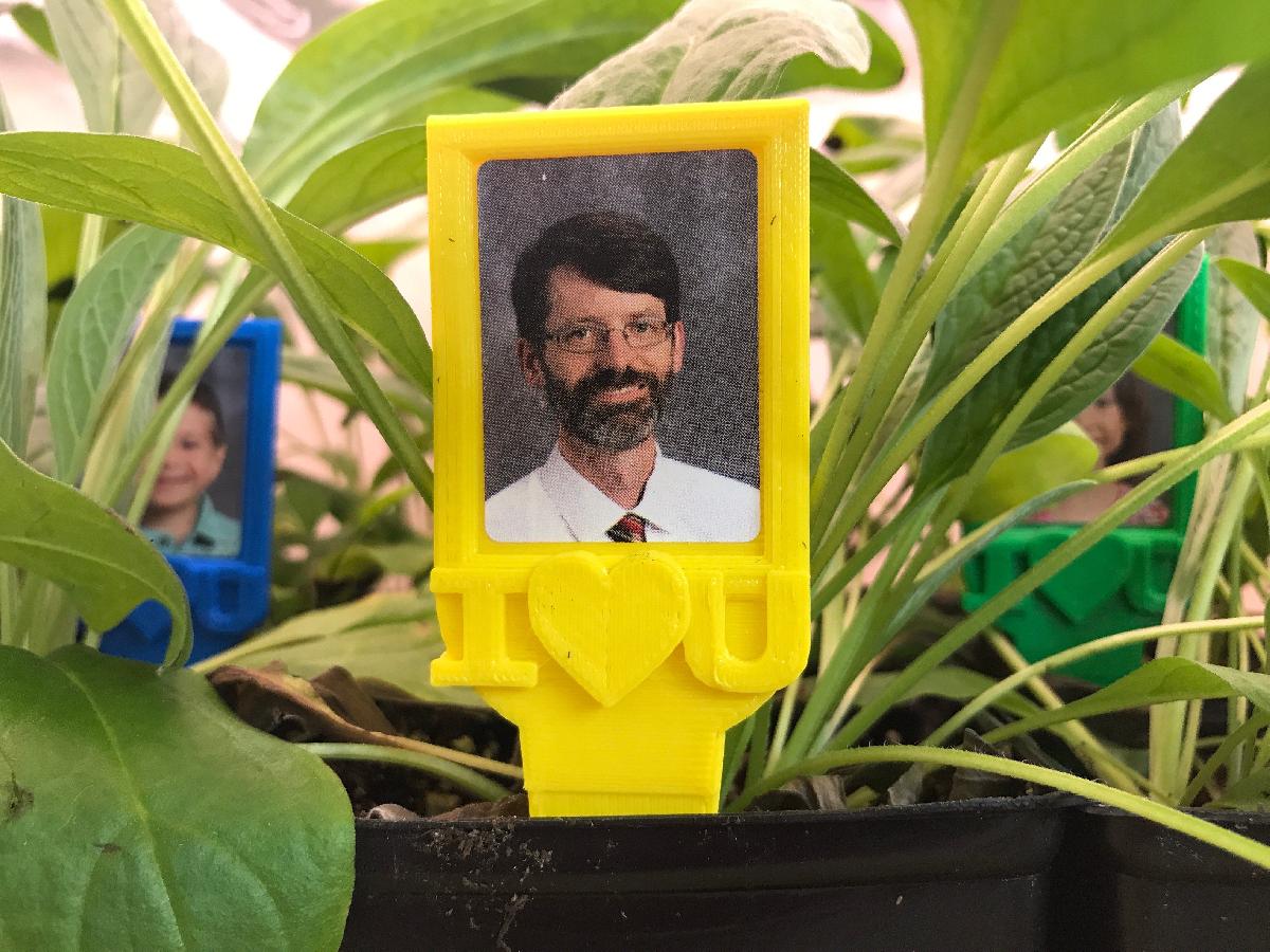 Estaca de planta com moldura para foto