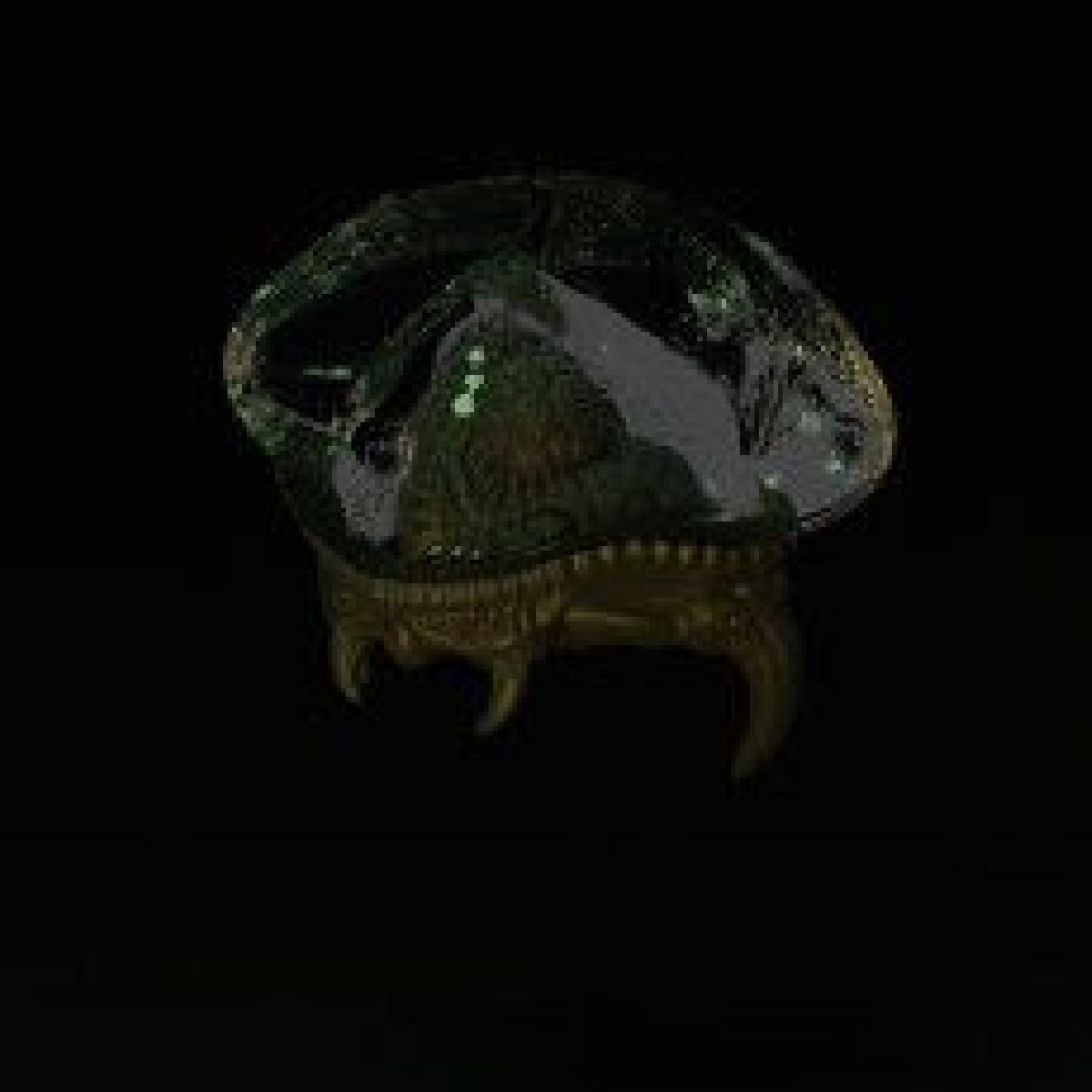 Metroid