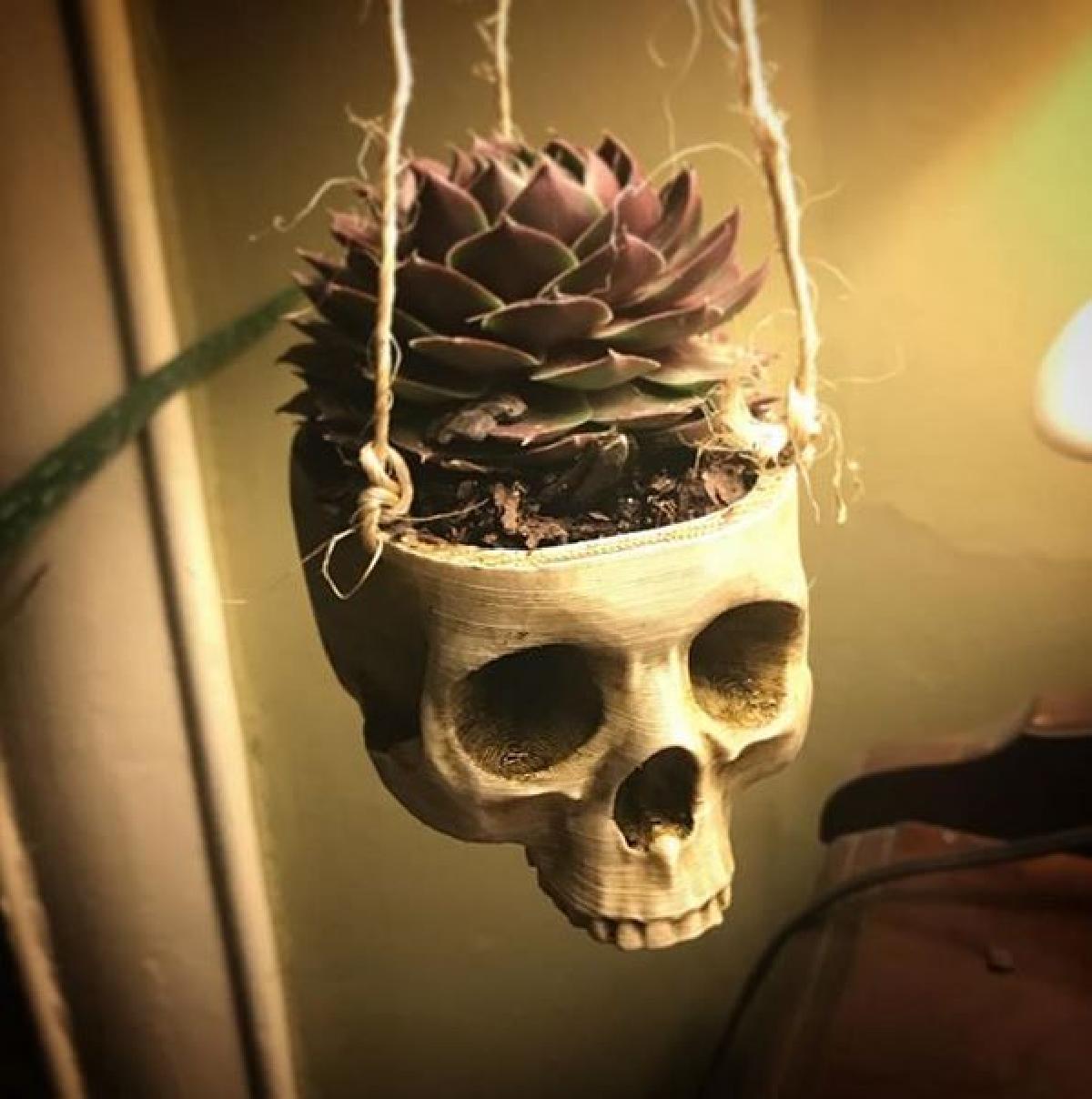 Suporte de Planta em Forma de Cranio