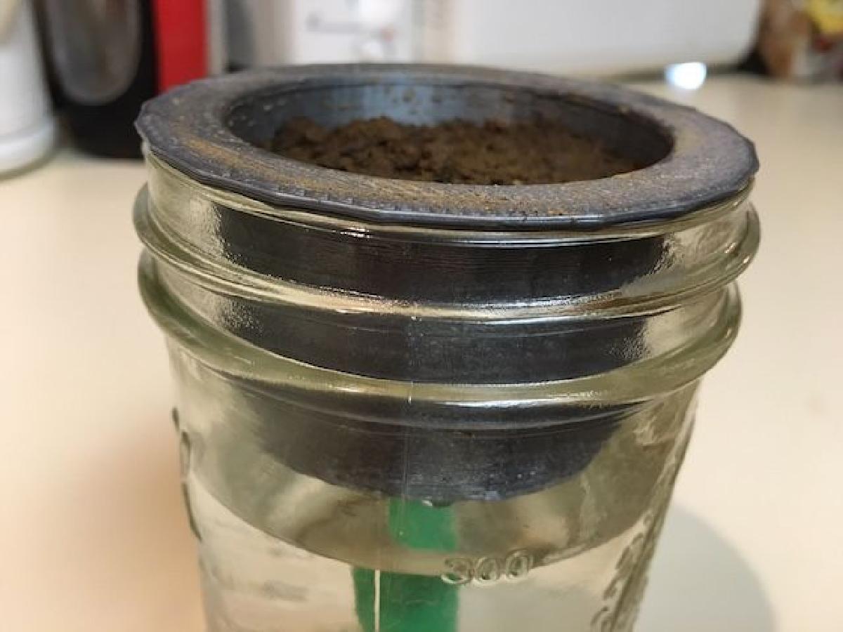 Iniciador de sementes em pote de vidro