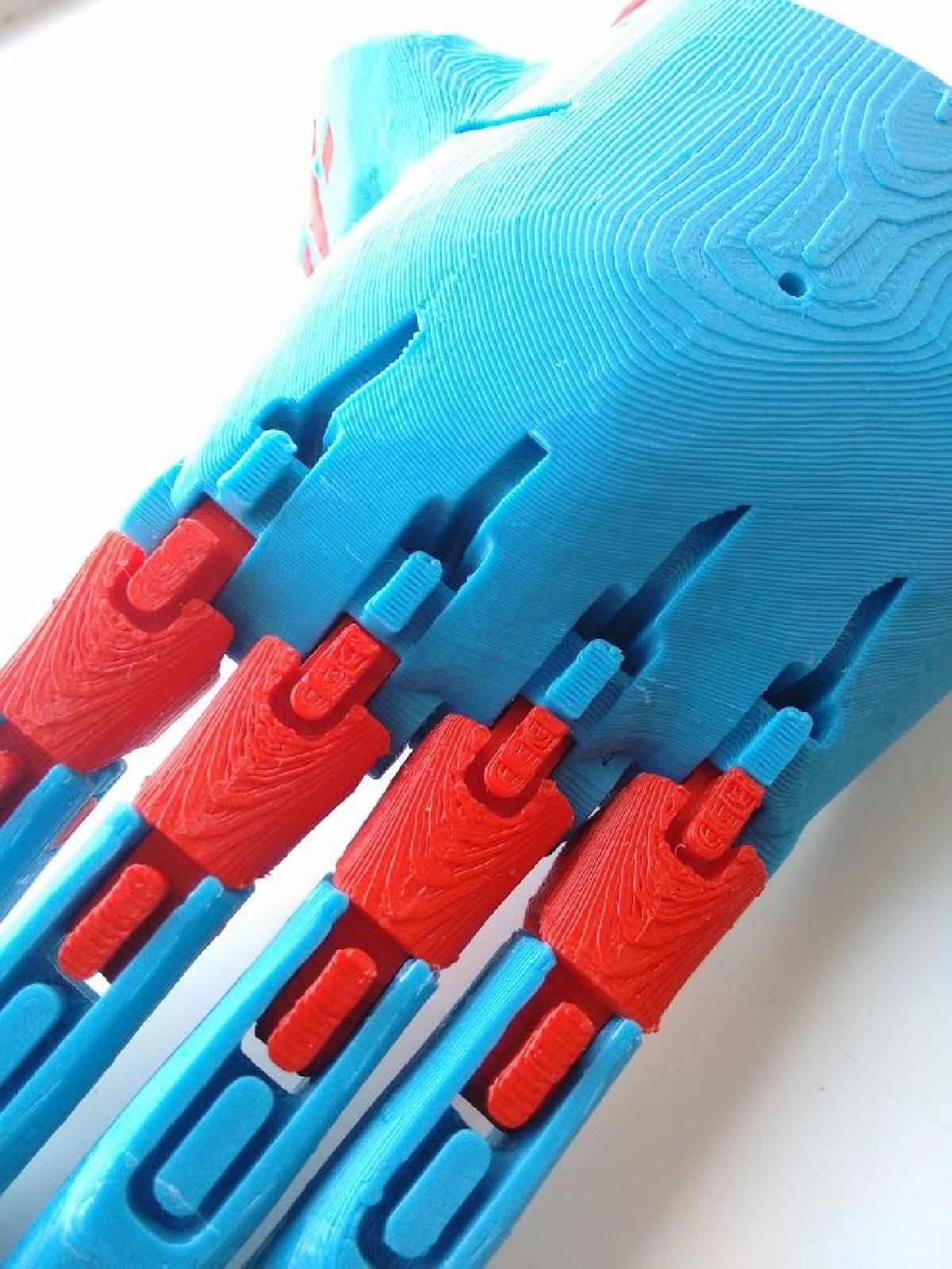 Mao de Fenix sem limbo