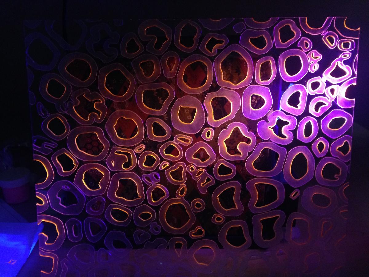 Secoes transversais de neuronios