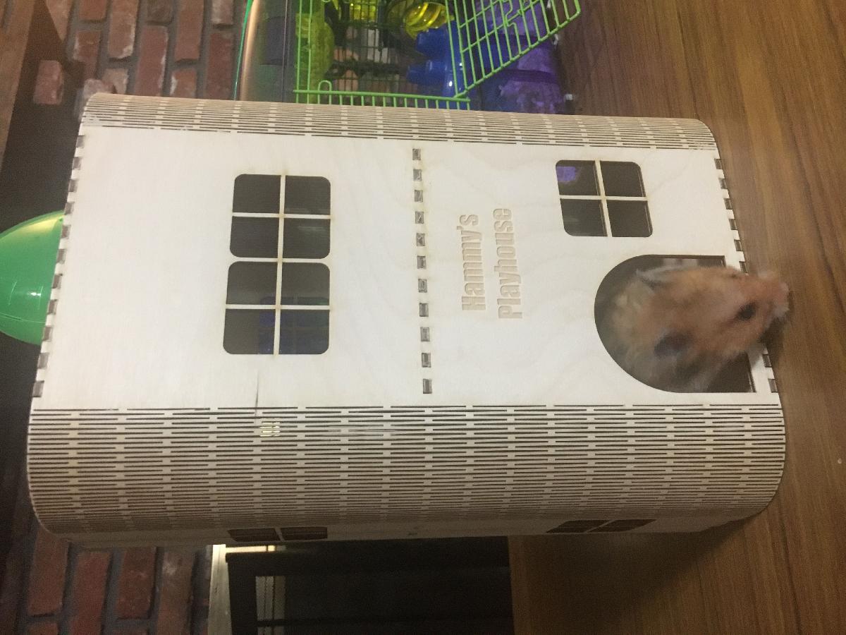Casa de Rato de Estimacao Cortada a Laser
