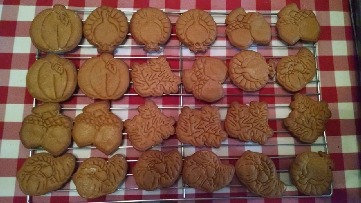 Conjunto de Cortadores de Biscoito de Acao de Gracas