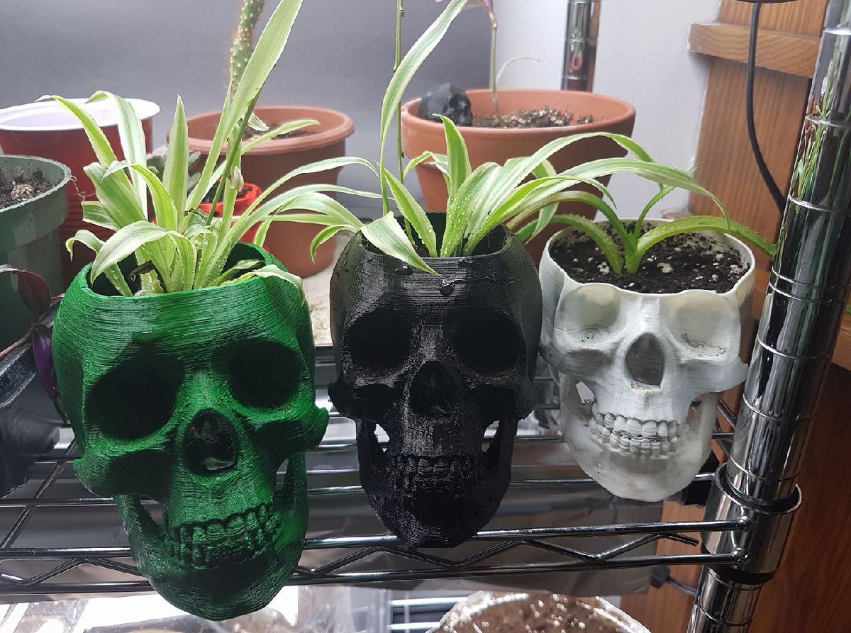 Pote de caveira