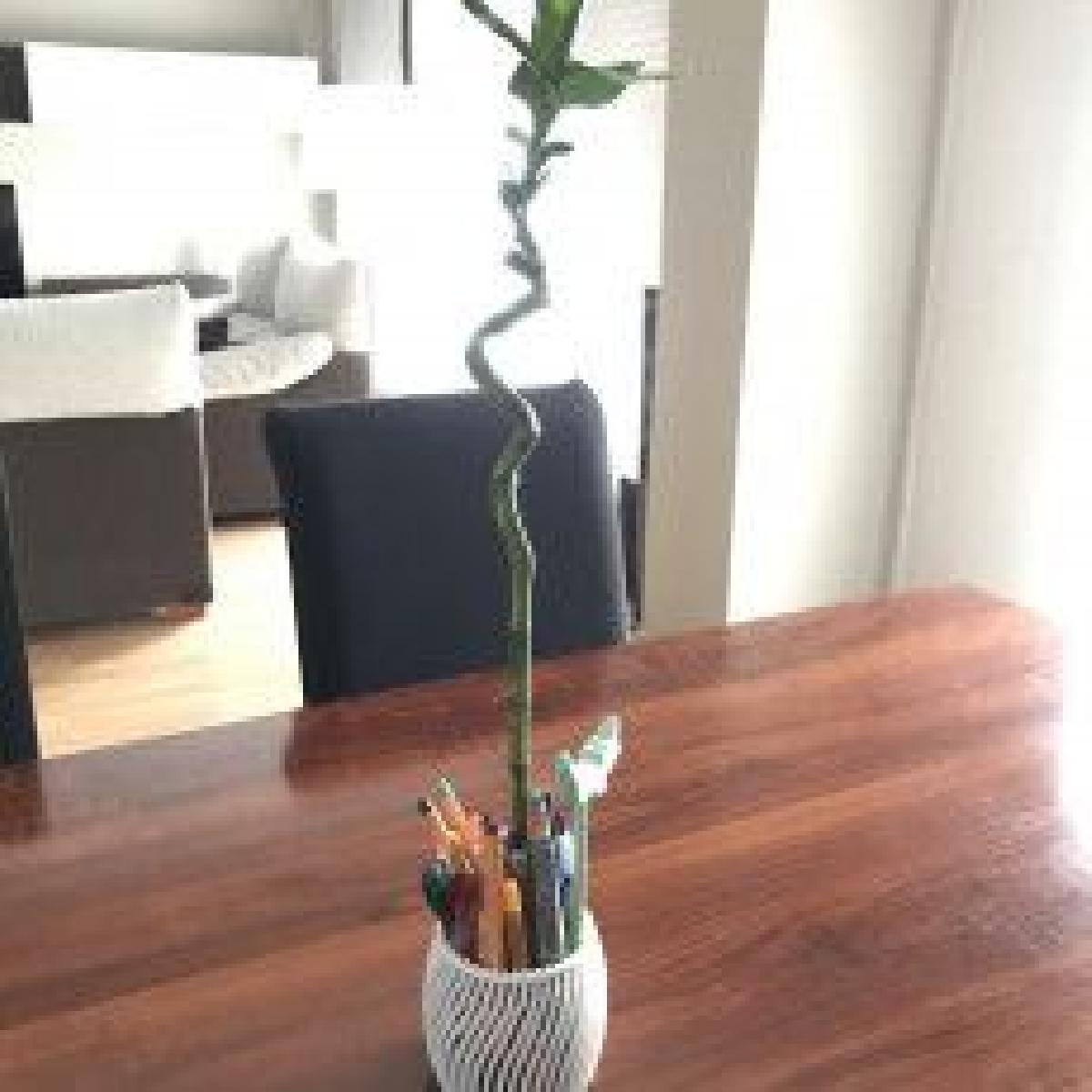 Porta lapis de bambu IKEA