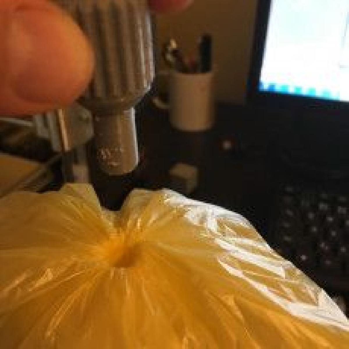 Plugue de Cola