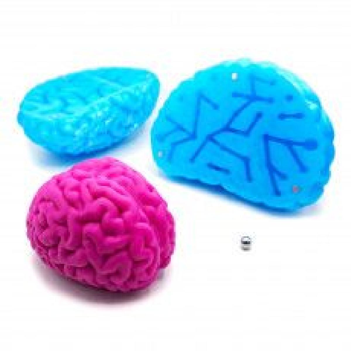 Labirinto de constelação cerebral