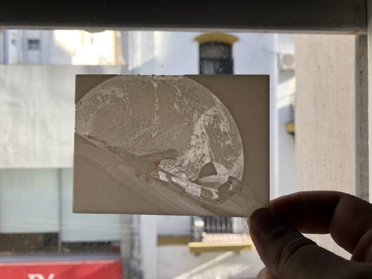 lithophane do Starman da SpaceX