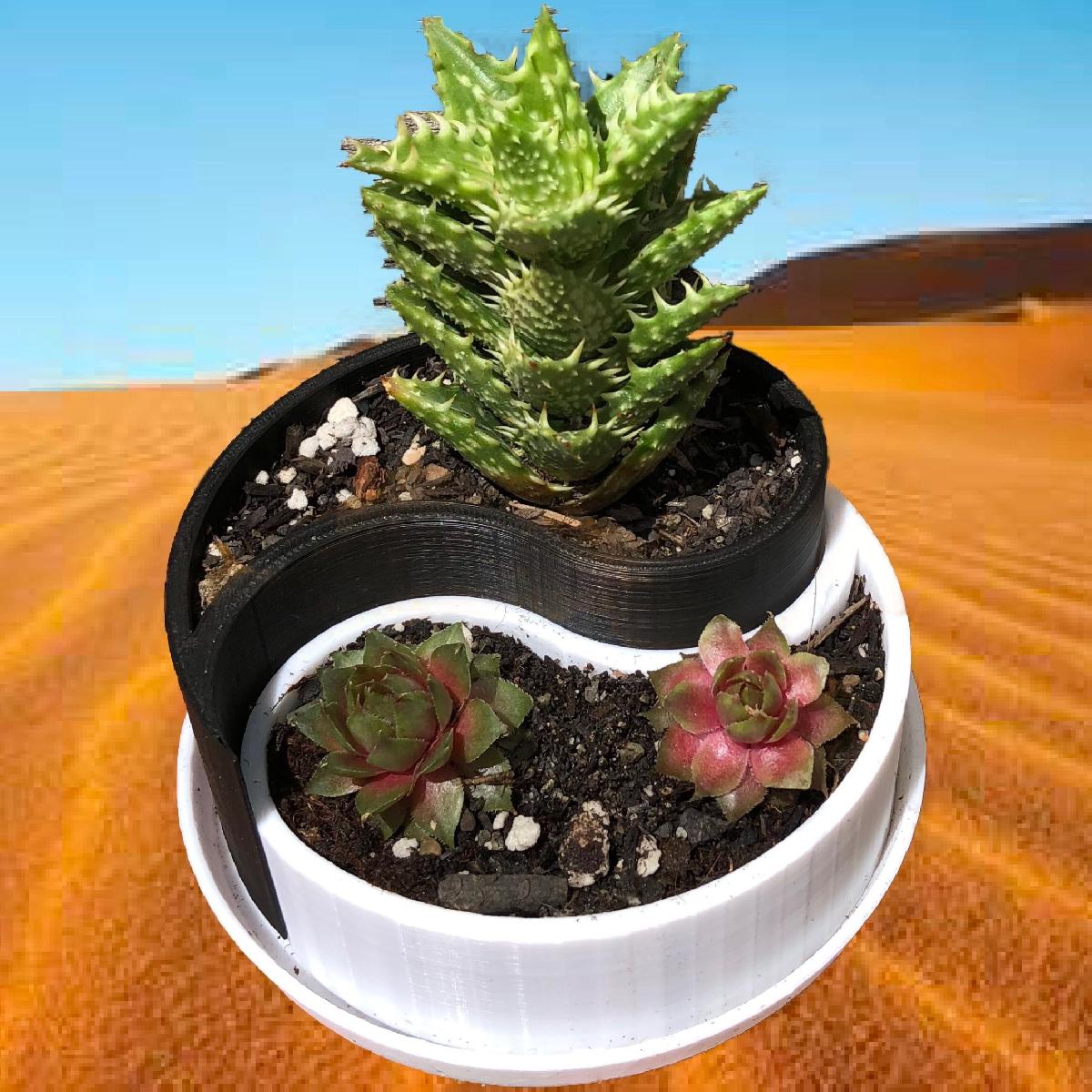 Vaso/Container Yin Yang Personalizavel
