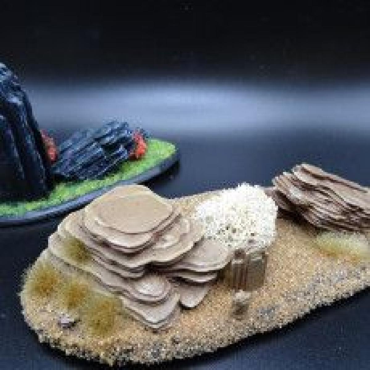 Conjunto de terreno de ardosia