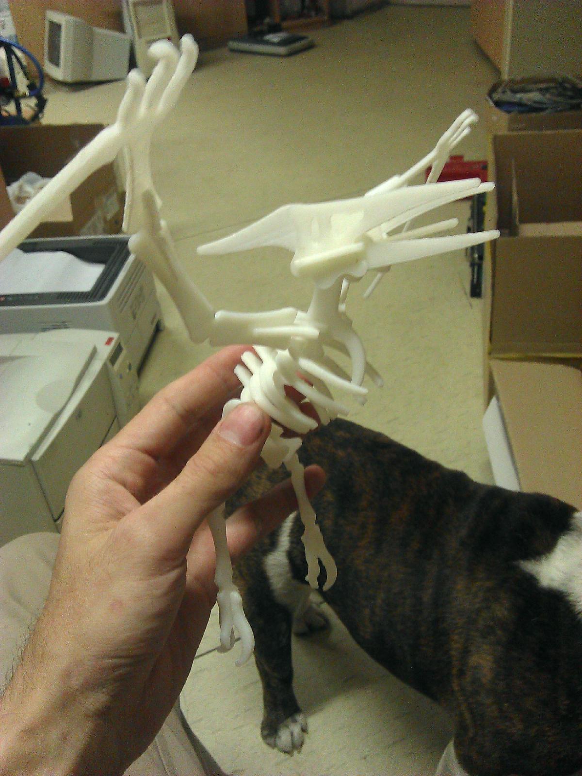 Pteradon dinossauro