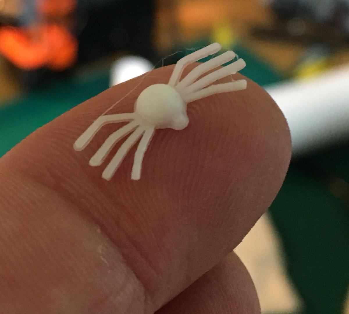 Aranha pequenininha