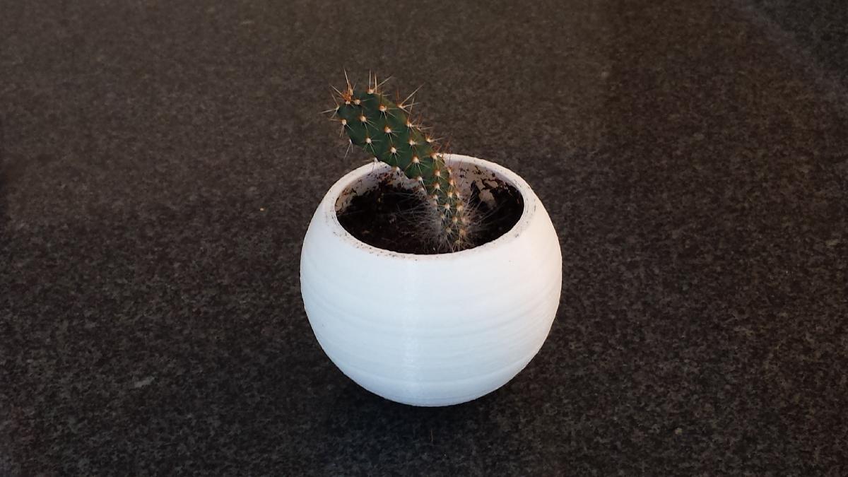 Vaso de Planta Esferico