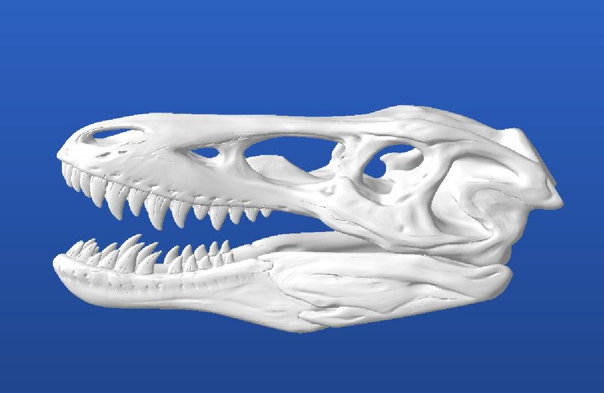 Pinoquio Rex (Qianzhousaurus sinensis)