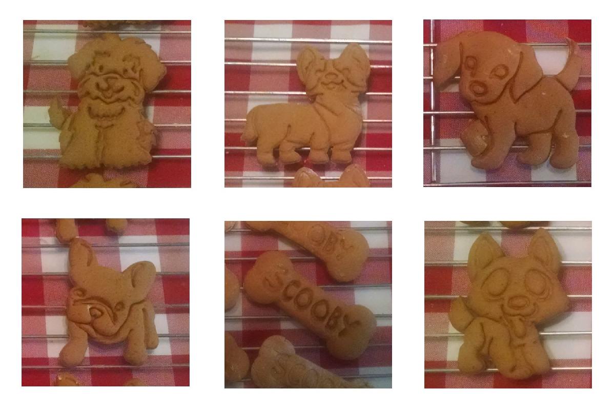 Cortadores de Biscoito para Cachorro #1