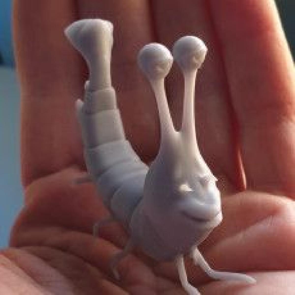 Shrimp