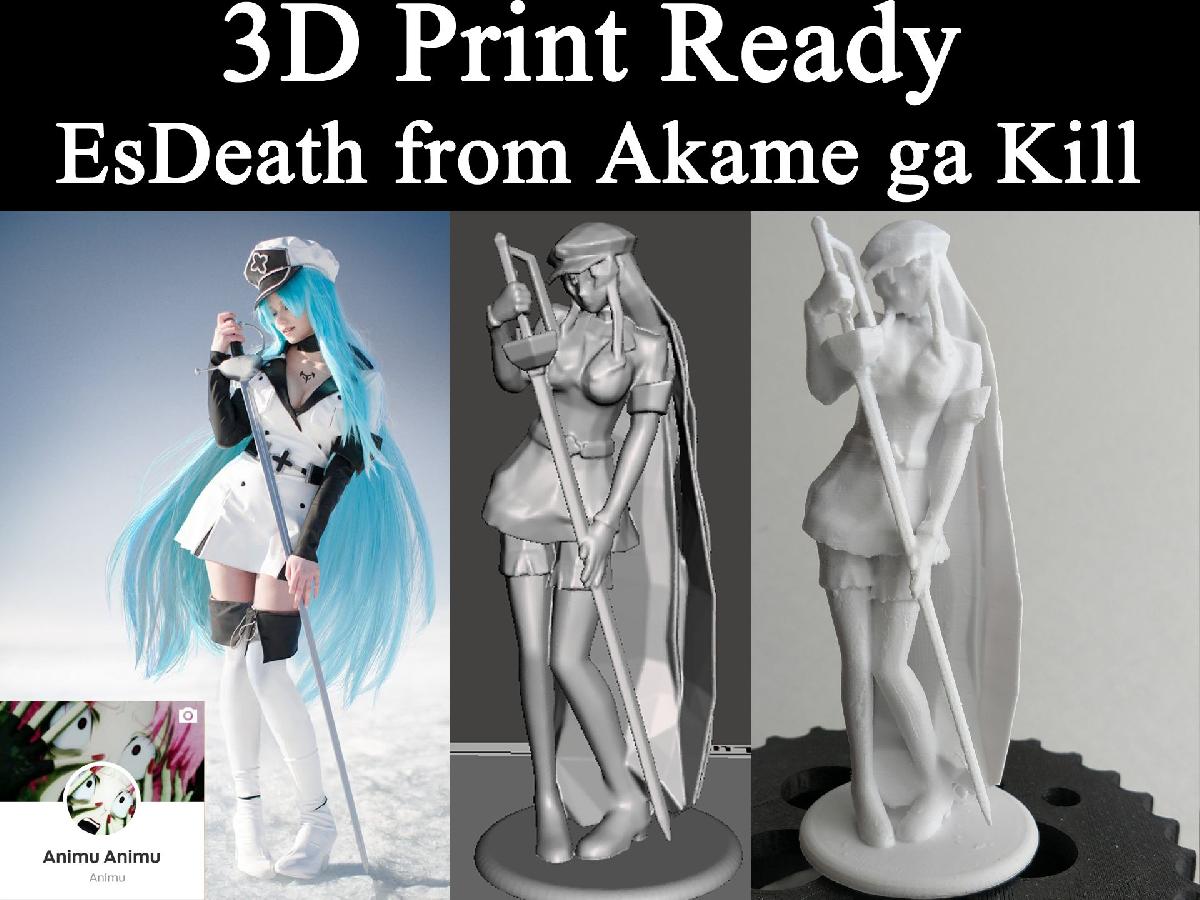 Pronto para impressao 3D!! EsDeath de Akame ga Kill