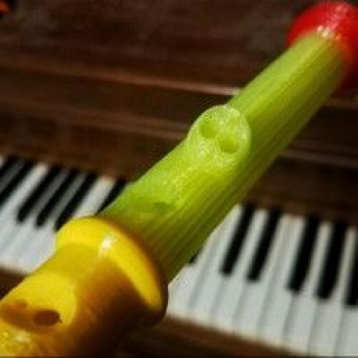 Flauta doce estendida com buraco em Bb   inclui tabela de dedilhado