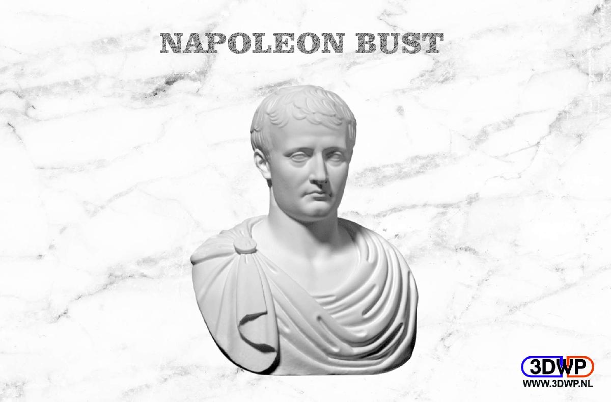 Busto de Napoleao