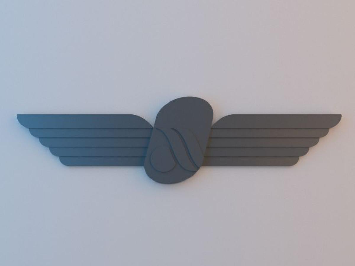 Asas de Piloto   Air Berlin