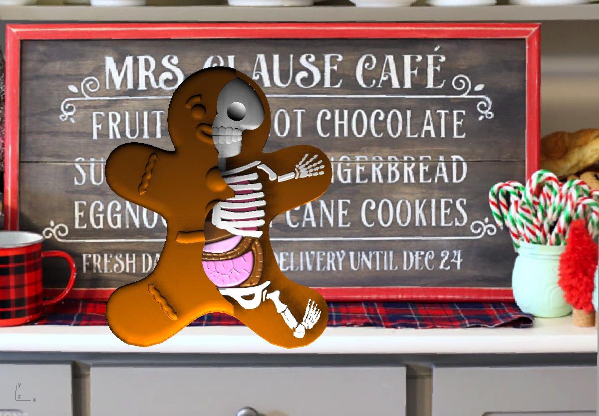 Anatomia do Homem de Gengibre