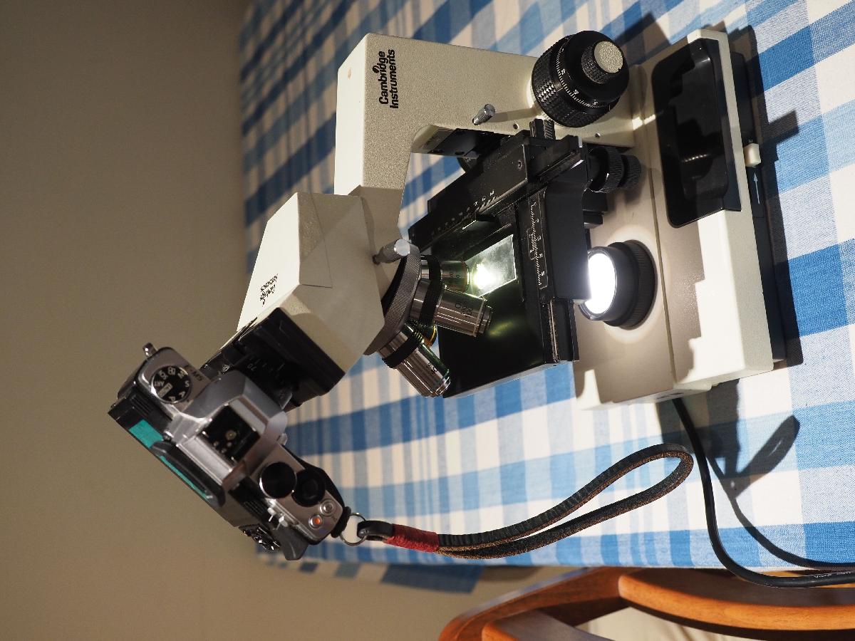 Adaptador de microscopio M4/3s para 23,2 mm