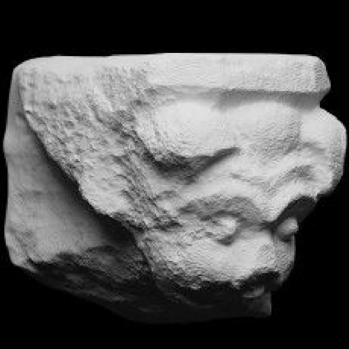 Console decorado com cabeca de animal