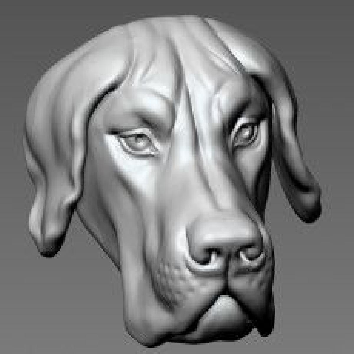 Cabeca de Grande Dinamarques