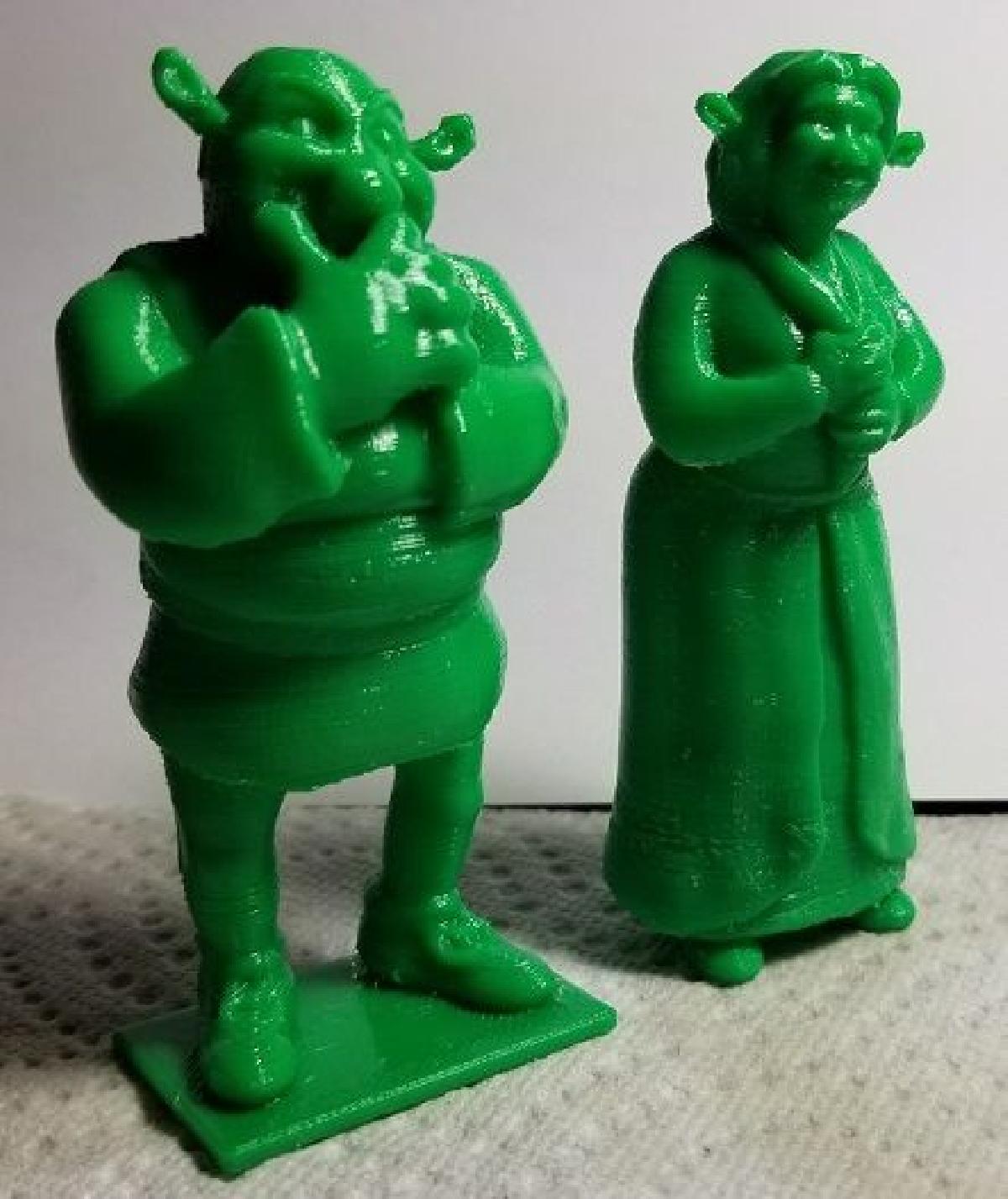 Shrek   Fiona
