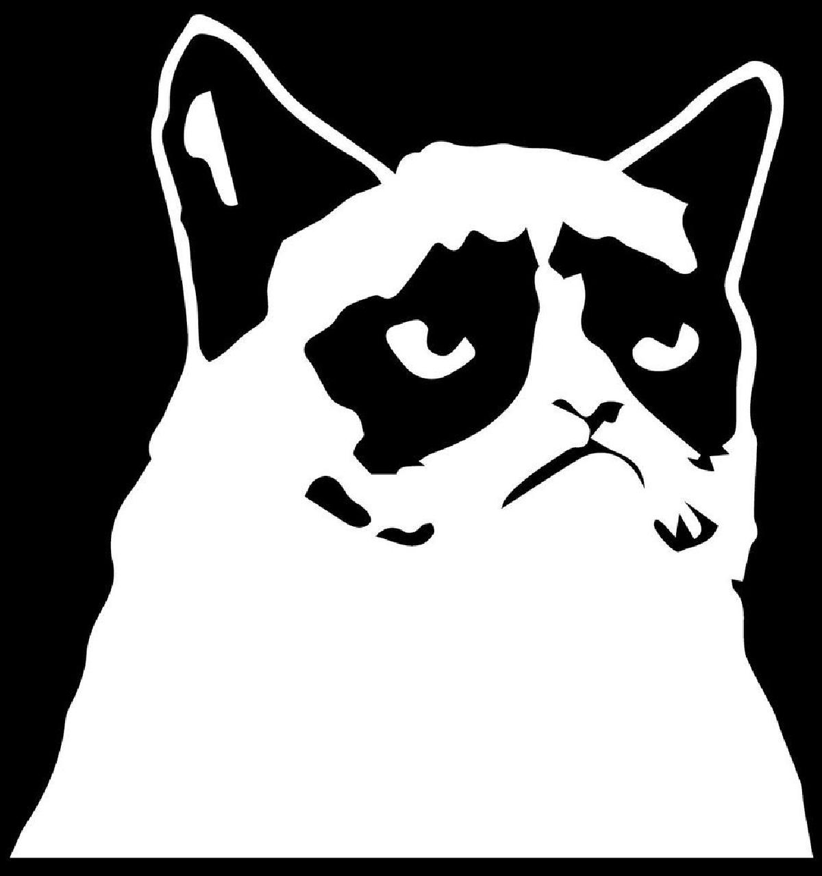 GATO MAL HUMORADO 2D