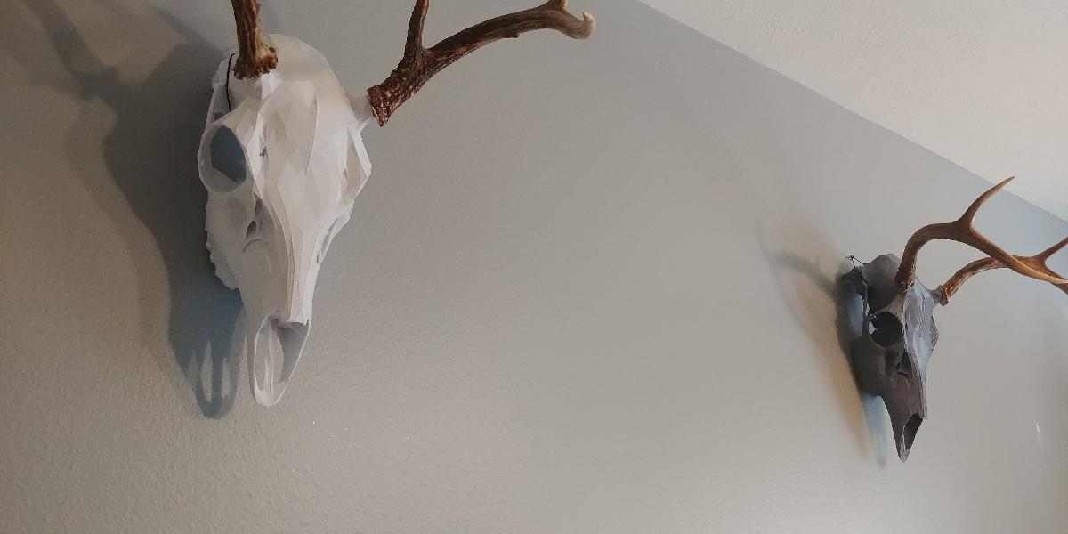 Caveira de Veado Low Poly