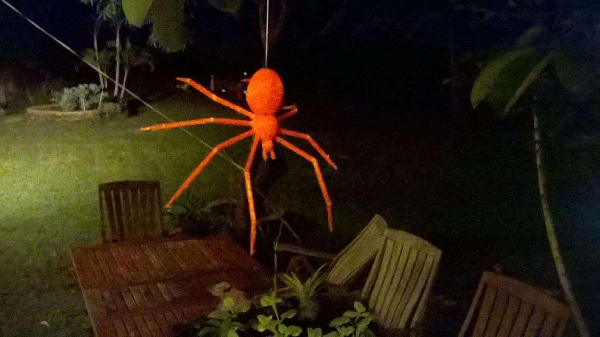 Aranha assustadora tecendo teia (pendurada)