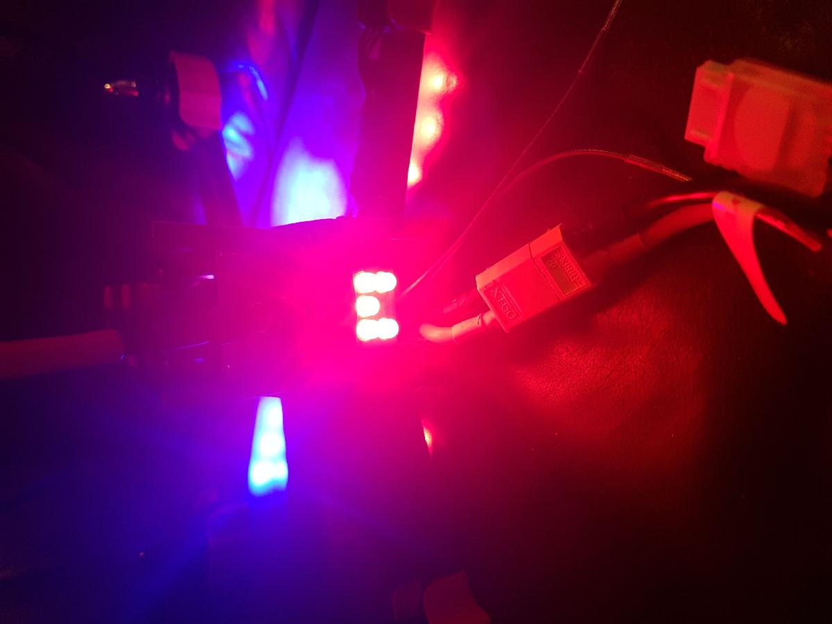 Luz traseira vermelha Falcon 250
