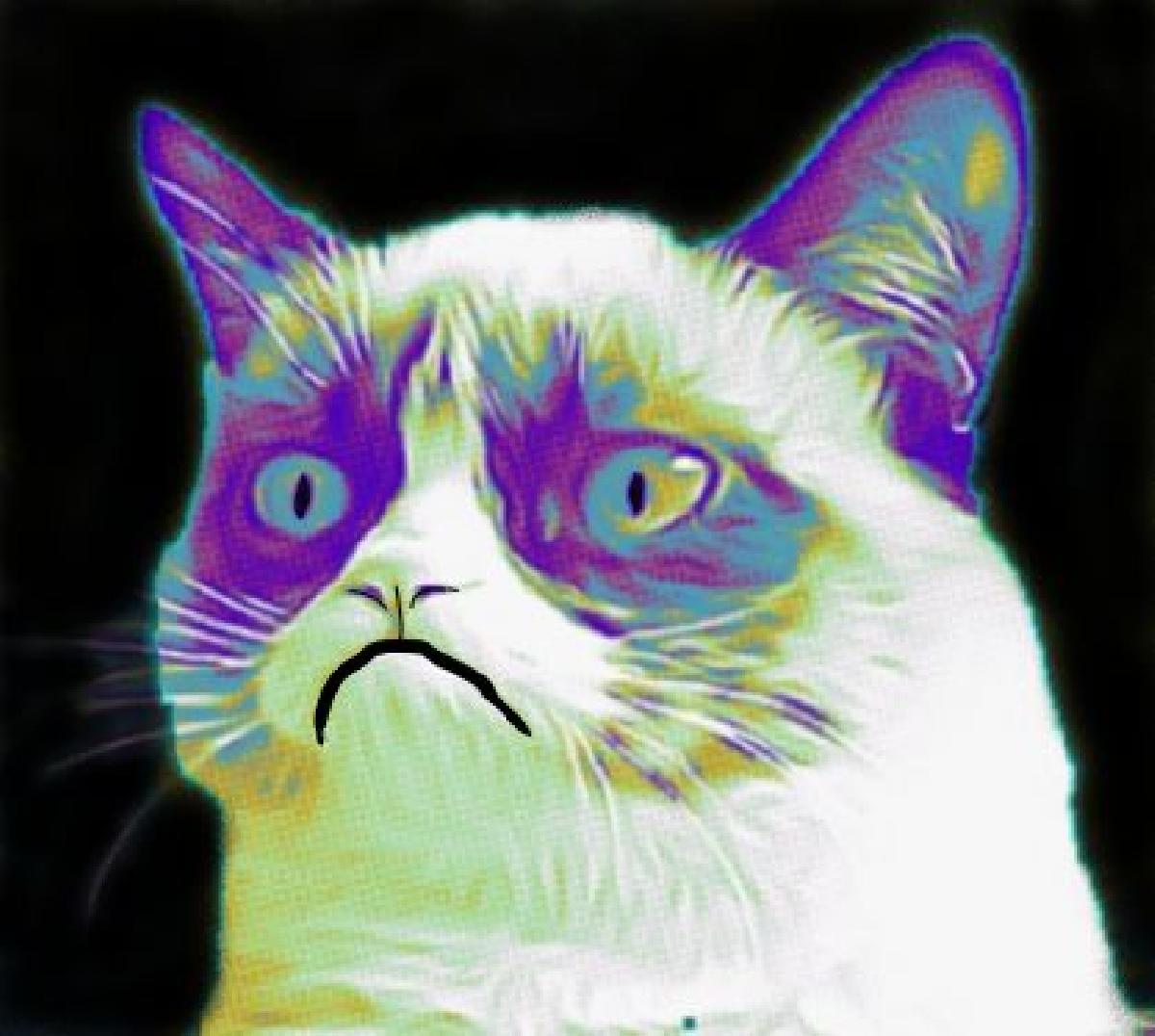 GATO MAL HUMORADO meme 2D