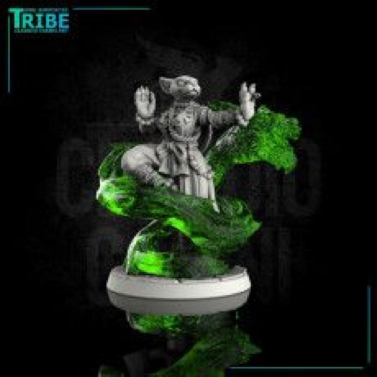 Guerreiro clerigo druida monge felideo feminino com feitico de chakra