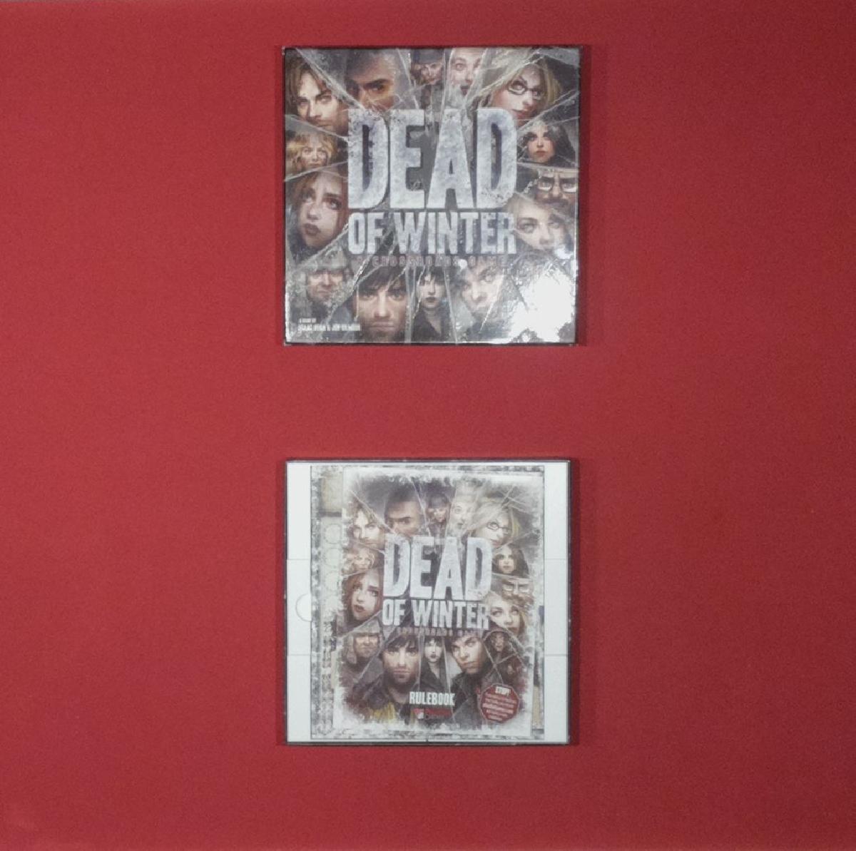 Organizador de Caixa Dead of Winter